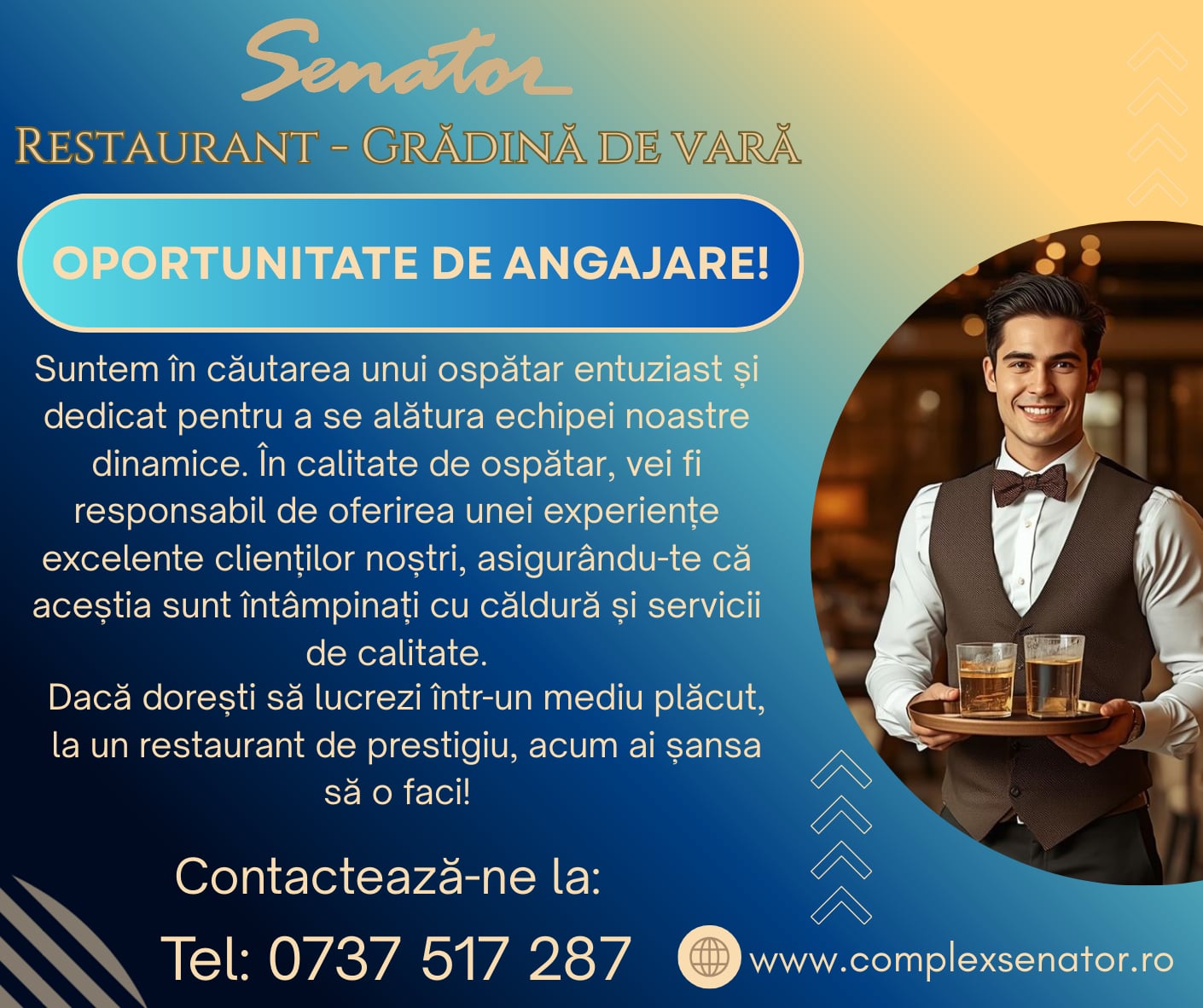 Angajări instalator Senator Timișoara